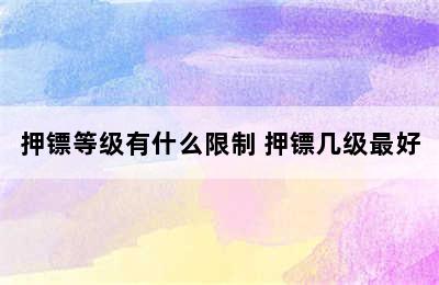 押镖等级有什么限制 押镖几级最好